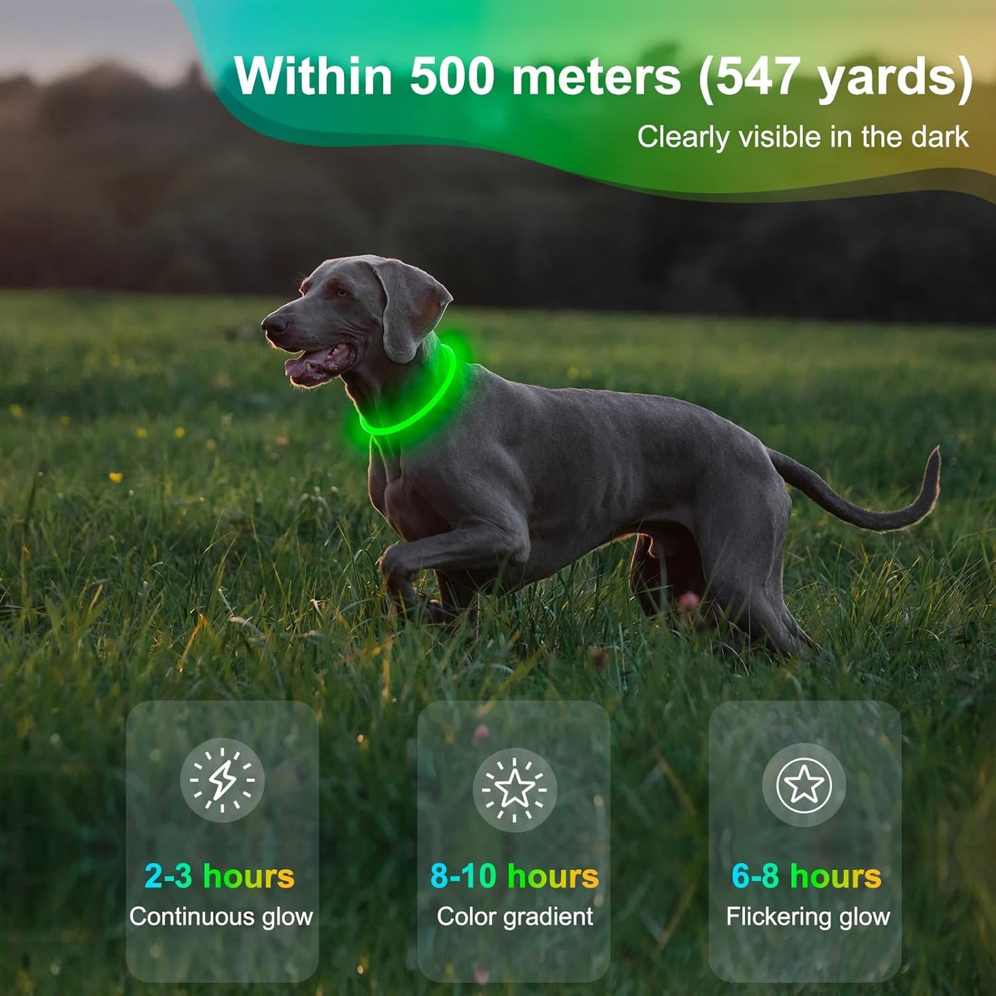LED Waterproof Dog Collar - Rechargeable Lighted Pet Collar for Nighttime Use, Adjustable TPU Design for Small, Medium, and Large Dogs (Green)