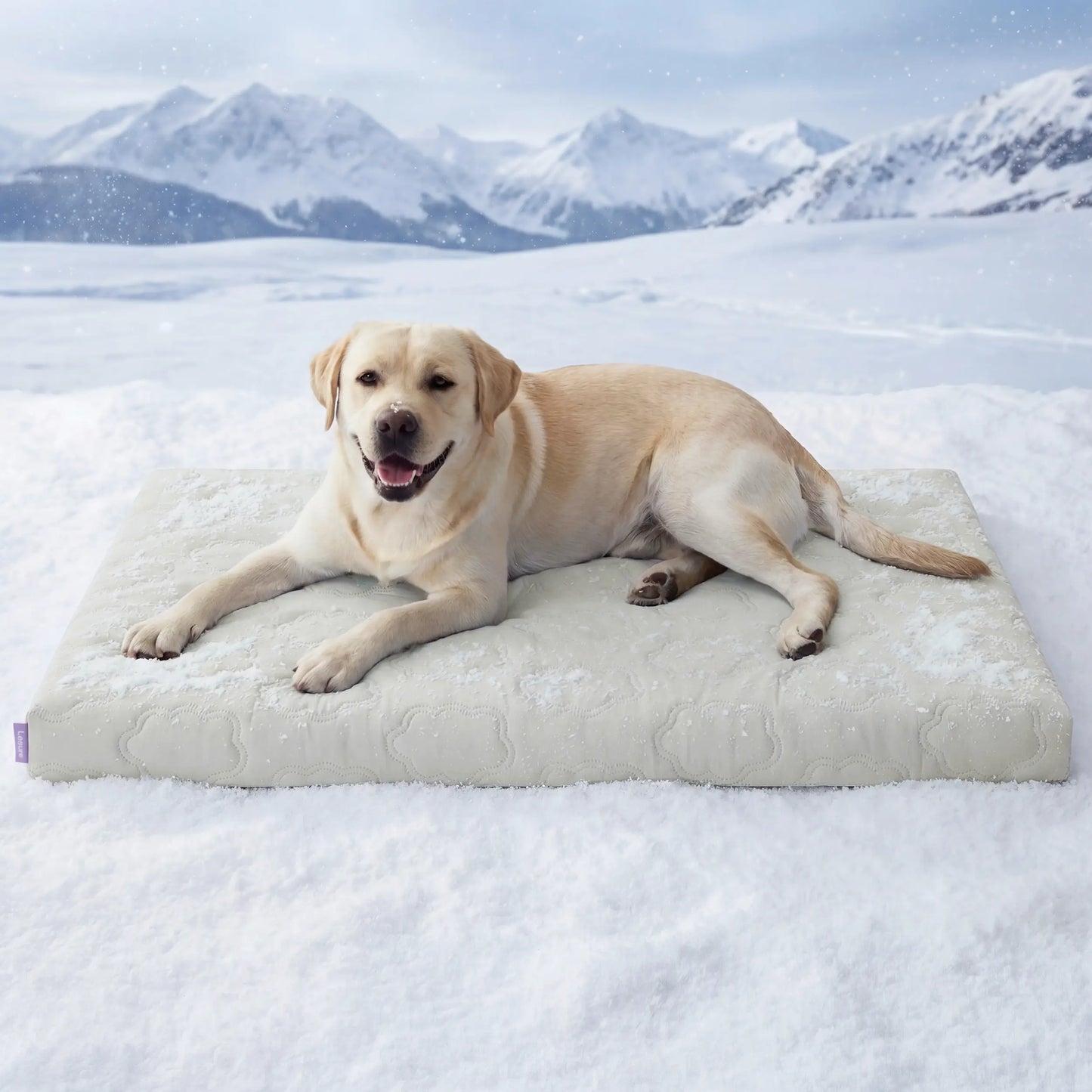 Bedsure Premium Cooling Mat for Dogs – Q-MAX>0.4 Washable Non-Slip Summer Crate Bed for Large Breeds, No Gel or Electricity Required