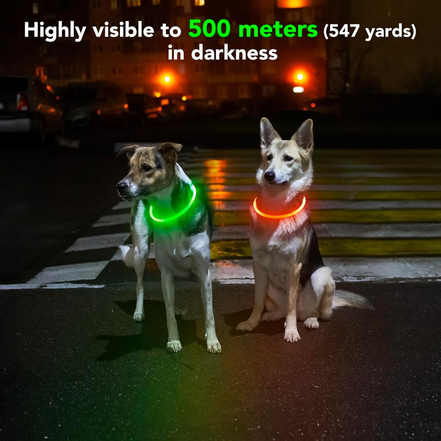 LED Waterproof Dog Collar - Rechargeable Lighted Pet Collar for Nighttime Use, Adjustable TPU Design for Small, Medium, and Large Dogs (Green)