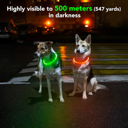 LED Waterproof Dog Collar - Rechargeable Lighted Pet Collar for Nighttime Use, Adjustable TPU Design for Small, Medium, and Large Dogs (Green)