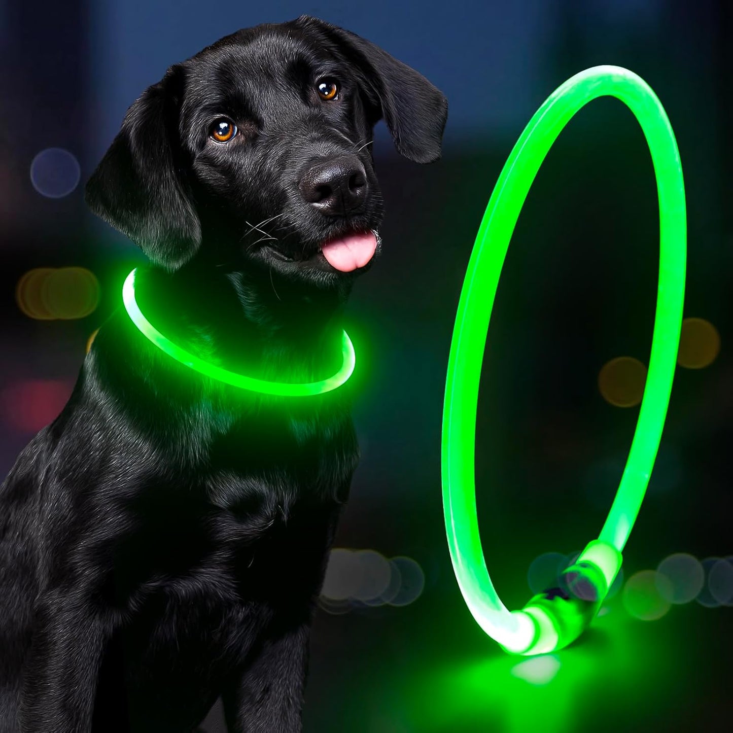 LED Waterproof Dog Collar - Rechargeable Lighted Pet Collar for Nighttime Use, Adjustable TPU Design for Small, Medium, and Large Dogs (Green)