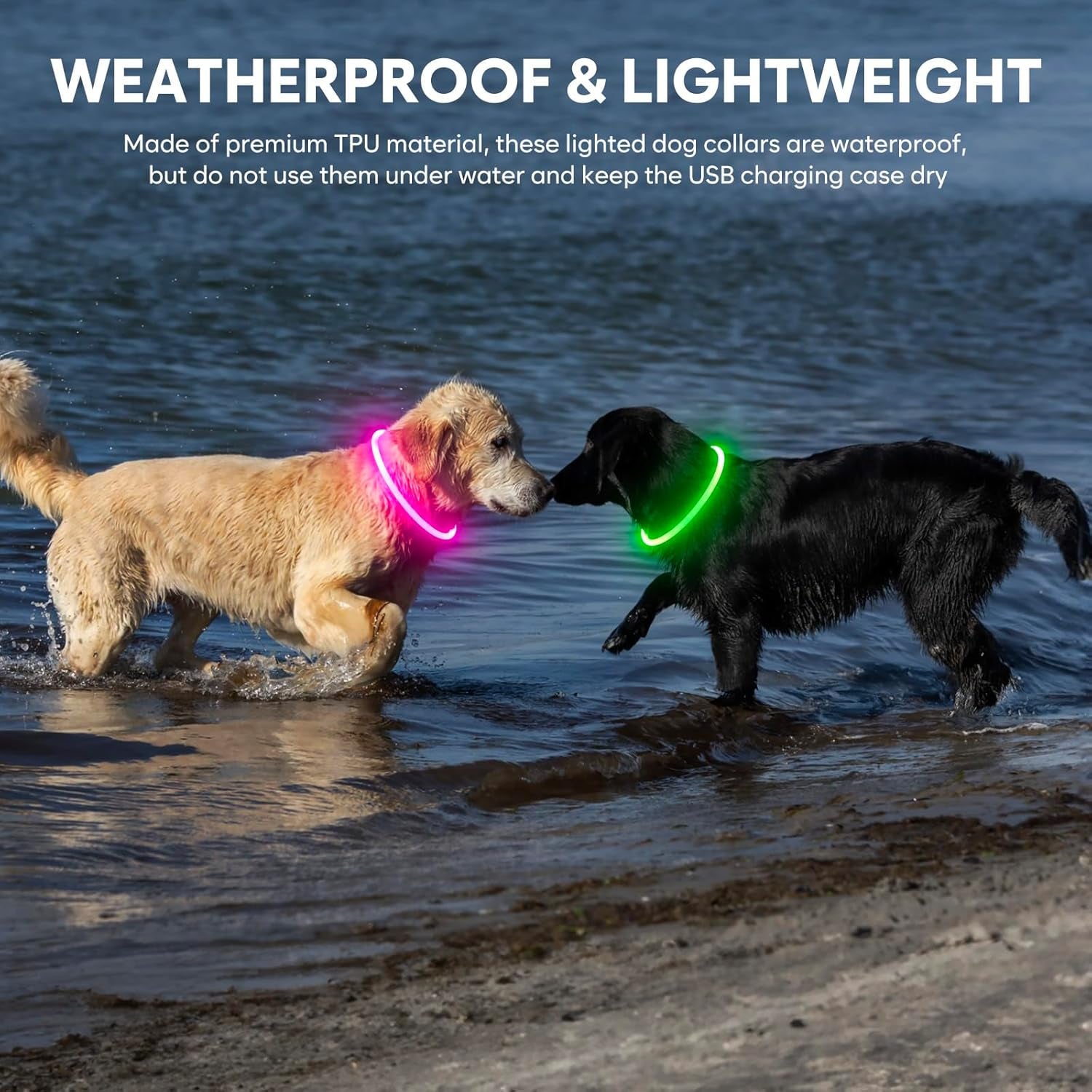 LED Waterproof Dog Collar - Rechargeable Lighted Pet Collar for Nighttime Use, Adjustable TPU Design for Small, Medium, and Large Dogs (Green)