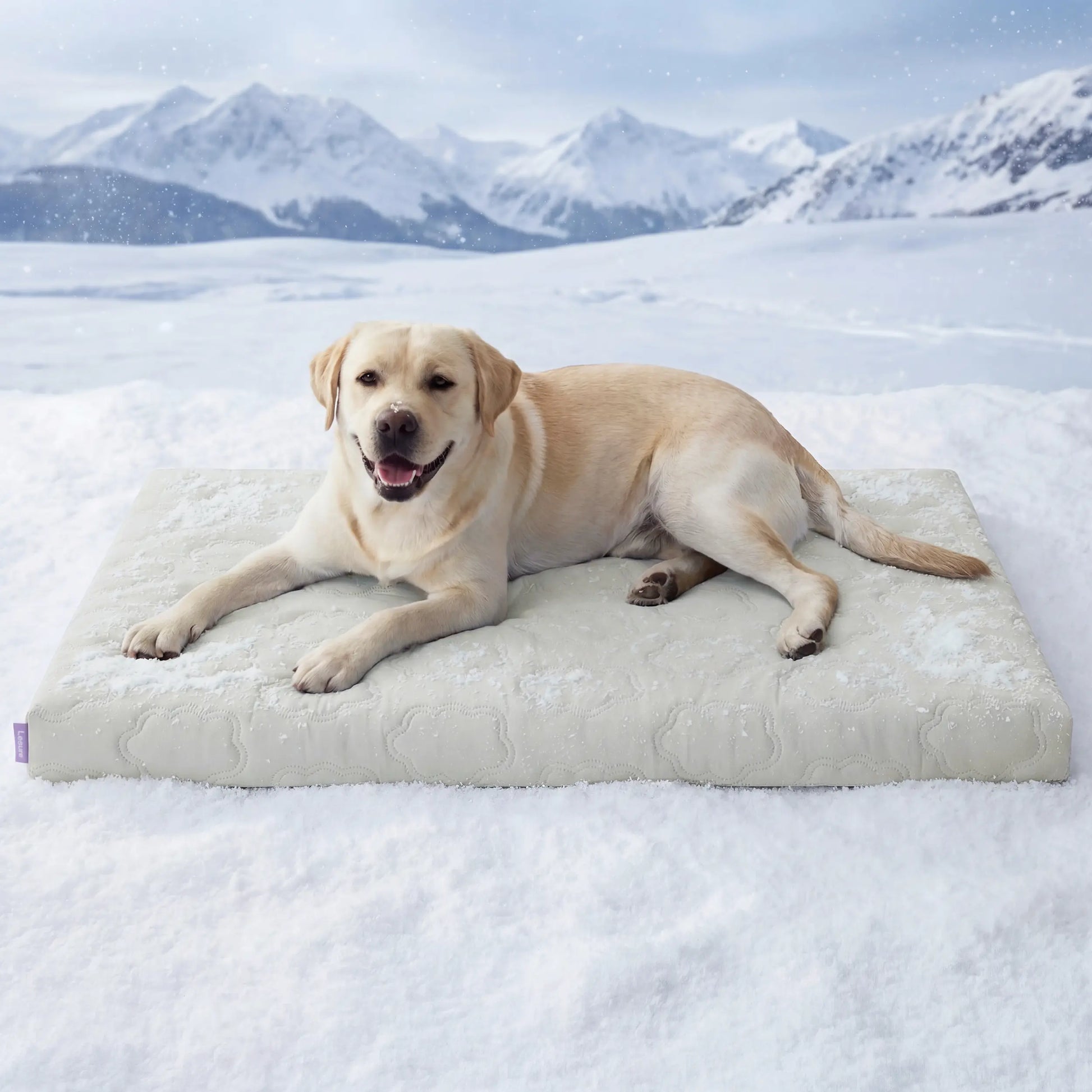Bedsure Premium Cooling Mat for Dogs – Q-MAX>0.4 Washable Non-Slip Summer Crate Bed for Large Breeds, No Gel or Electricity Required