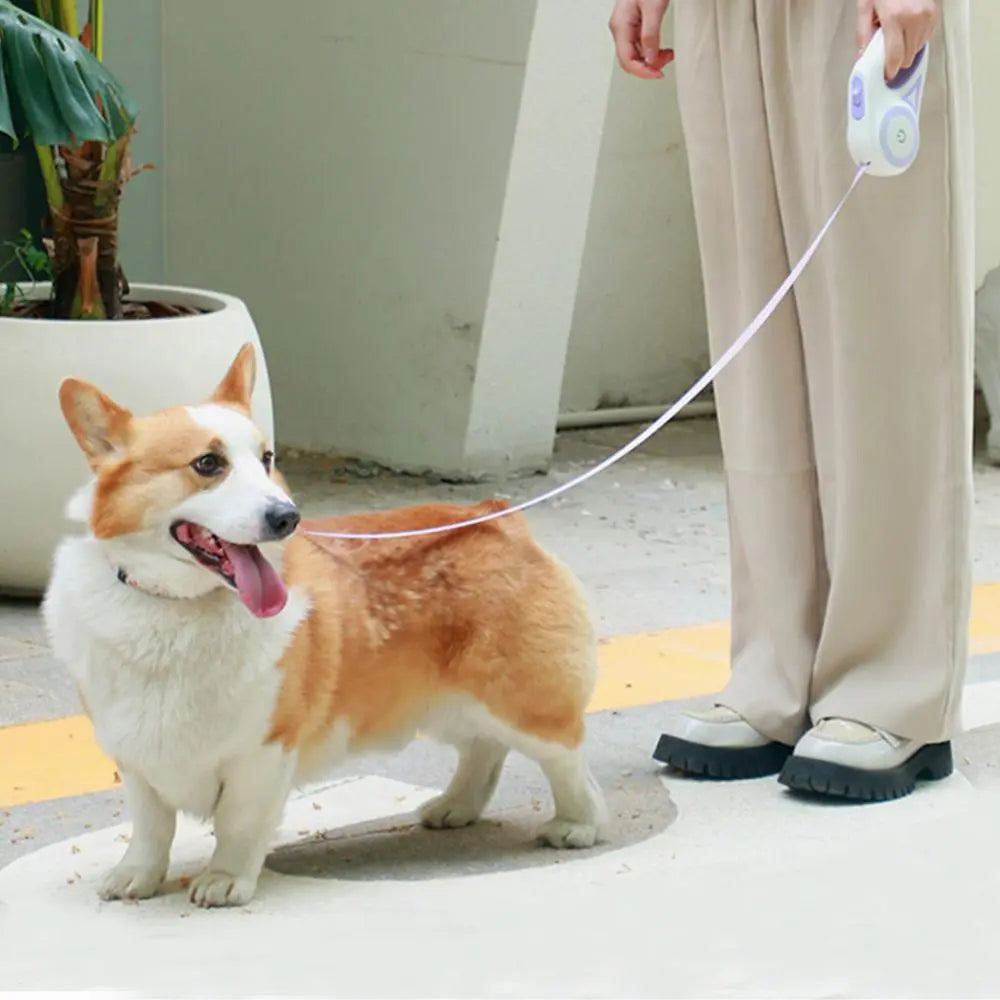 Retractable LED Dog Leash with Non-Slip Handle, Adjustable Summer Tractor Rope for Night Walks, Ideal Easter Gift for Large and Medium Dogs and Cats, Durable Nylon Construction